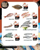 Offres Marché d'Arafa Fayoum de 10 à 11 juin 2026 Vente de poisson - Marché d'Arafa - Egypte - 10 juin 2026 – 11 juin 2026 - Page 4
