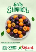 Geant Egypt offers from 10 to 23 June 2026 Hello summer - Geant - Egypt - 10 June 2026 – 23 June 2026 - Page 1