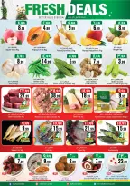 Ofertas de City flower Jubail de 24 a 30 Dhuʻl-Hijjah 1447 AH (10 – 16 junio 2026) Operaciones locas - City flower - Arabia Saudita - 10 junio 2026 – 16 junio 2026 - Página 12