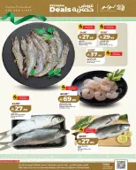 Ofertas de Lulu Al Faisaliah de 24 a 30 Dhuʻl-Hijjah 1447 AH (10 – 16 junio 2026) Ofertas exclusivas - Lulu - Arabia Saudita - 10 junio 2026 – 16 junio 2026 - Página 10