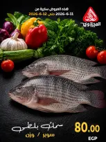 عروض المحلاوى ماركت من ١١ حتى ١٢ يونيو ٢٠٢٦ مهرجان الأسماك - المحلاوى ماركت - مصر - 11 يونيو 2026 – 12 يونيو 2026 - صفحة 6