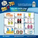 عروض جمعية هدية التعاونية الكويت من ١٣ حتى ١٦ يونيو ٢٠٢٦ عروض منتصف شهر يونيه - جمعية هدية التعاونية - الكويت - 13 يونيو 2026 – 16 يونيو 2026 - صفحة 13