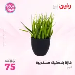 عروض رنين من ١٤ حتى ١٥ يونيو ٢٠٢٦ عروض هدايا وديكورات - رنين - مصر - 14 يونيو 2026 – 15 يونيو 2026 - صفحة 53