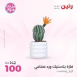 Raneen offers from 16 to 17 June 2026 Gifts and Decorations Offers - Page 62