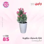 Raneen offers from 16 to 17 June 2026 Gifts and Decorations Offers - Page 60
