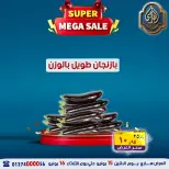 El Sorady market offers from 15 to 16 June 2026 Fresh Deals - El Sorady market - Egypt - 15 June 2026 – 16 June 2026 - Page 1