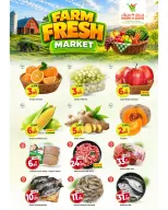 Mark & Save offers in Almsfh from 15 to 17 June 2026 Fresh Deals - Mark & Save - UAE - 15 June 2026 – 17 June 2026 - Page 5