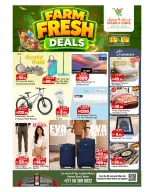 Mark & Save offers in Ajman from 15 to 17 June 2026 Fresh Deals - Mark & Save - UAE - 15 June 2026 – 17 June 2026 - Page 6