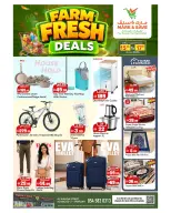 Mark & Save offers in Al Wahda Street from 15 to 17 June 2026 Fresh Deals - Mark & Save - UAE - 15 June 2026 – 17 June 2026 - Page 9