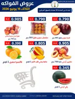 Sabahel Nasser co-op offers Tuesday 16 June 2026 Vegetable and fruit offer - Sabahel Nasser co-op - Kuwait - 16 June 2026 – 16 June 2026 - Page 2