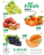 Rawabi Markets Qatar offers from 16 to 17 June 2026 Fresh Deals - Rawabi Markets - Qatar - 16 June 2026 – 17 June 2026 - Page 1