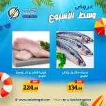 Awlad Ragab offers from 15 to 16 June 2026 Midweek Deals - Awlad Ragab - Egypt - 15 June 2026 – 16 June 2026 - Page 12