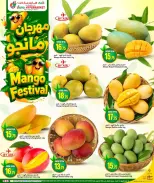 Dana Hypermarkets offers in Al Wakrah, Tryq Slwa, Nayjh from 17 to 20 June 2026 Mango Festival - Dana - Qatar - 17 June 2026 – 20 June 2026 - Page 2