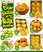 Dana Hypermarkets offers in Al Wakrah, Tryq Slwa, Nayjh from 17 to 20 June 2026 Mango Festival - Dana - Qatar - 17 June 2026 – 20 June 2026 - Page 3