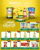 Ofertas de Wekalet Elmansoura Egipto de 16 junio a 11 julio 2026 Ofertas de verano - Wekalet Elmansoura - Egipto - 16 junio 2026 – 11 julio 2026 - Página 67