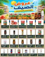 Ofertas de Wekalet Elmansoura Egipto de 16 junio a 11 julio 2026 Ofertas de verano - Wekalet Elmansoura - Egipto - 16 junio 2026 – 11 julio 2026 - Página 74