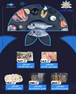 Ofertas de Wekalet Elmansoura Egipto de 16 junio a 11 julio 2026 Ofertas de verano - Wekalet Elmansoura - Egipto - 16 junio 2026 – 11 julio 2026 - Página 42