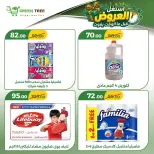 Ofertas de Green Tree Egipto de 18 a 21 junio 2026 Ofertas de ahorro - Green Tree - Egipto - 18 junio 2026 – 21 junio 2026 - Página 12