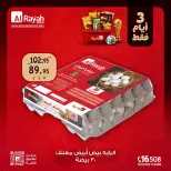 Al Rayah Market Egypt offers from 18 to 20 June 2026 Weekend Deals - Al Rayah Market - Egypt - 18 June 2026 – 20 June 2026 - Page 9