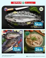 SPAR Qatar offers from 18 to 24 June 2026 Weekly Offers - SPAR - Qatar - 18 June 2026 – 24 June 2026 - Page 22