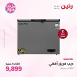 Raneen offers from 21 to 22 June 2026 Electrical appliances offers - Page 17