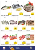 Nesto offers in Rolla from 18 to 21 June 2026 Mega shopping DAYS - Nesto - UAE - 18 June 2026 – 21 June 2026 - Page 20