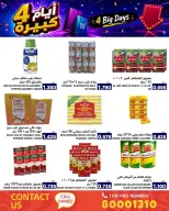 عروض أسواق رامز البحرين من ٢٠ حتى ٢٣ يونيو ٢٠٢٦ عروض أيام كبيرة - أسواق رامز - البحرين - 20 يونيو 2026 – 23 يونيو 2026 - صفحة 13
