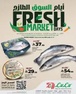 Lulu offers in Western Region from 5 to 7 Muharram 1448 AH (21 – 23 June 2026) Fresh Market Days - Lulu - Saudi Arabia - 21 June 2026 – 23 June 2026 - Page 7