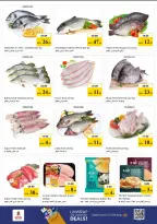 Nesto offers in Dubai from 22 to 24 June 2026 Amazing Prices - Nesto - UAE - 22 June 2026 – 24 June 2026 - Page 9