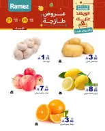 عروض أسواق رامز بفرع المنطقة الشرقية من ٩ حتى ١١ محرم ١٤٤٨ هـ (٢٥ إلى ٢٧ يونيو ٢٠٢٦) عروض طازجة - أسواق رامز - السعودية - 25 يونيو 2026 – 27 يونيو 2026 - صفحة 16