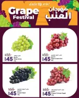 عروض لولو مصر من ٢٥ حتى ٢٨ يونيو ٢٠٢٦ مهرجان العنب - لولو - مصر - 25 يونيو 2026 – 28 يونيو 2026 - صفحة 2