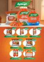 Ofertas de Mercado Zaher Egipto de 25 junio a 10 julio 2026 Ofertas de porristas en Egipto - Mercado Zaher - Egipto - 25 junio 2026 – 10 julio 2026 - Página 8