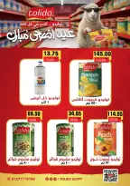 Ofertas de Mercado Zaher Egipto de 25 junio a 10 julio 2026 Ofertas de porristas en Egipto - Mercado Zaher - Egipto - 25 junio 2026 – 10 julio 2026 - Página 14