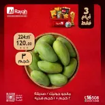 عروض الراية ماركت مصر من ٢٥ حتى ٢٧ يونيو ٢٠٢٦ عروض نهاية الأسبوع - الراية ماركت - مصر - 25 يونيو 2026 – 27 يونيو 2026 - صفحة 12