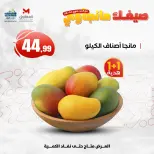عروض المحلاوى ستورز من ٢٥ يونيو حتى ١ يوليو ٢٠٢٦ مهرجان المانجو - المحلاوى ستورز - مصر - 25 يونيو 2026 – 1 يوليو 2026 - صفحة 2