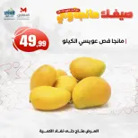عروض المحلاوى ستورز من ٢٥ يونيو حتى ١ يوليو ٢٠٢٦ مهرجان المانجو - المحلاوى ستورز - مصر - 25 يونيو 2026 – 1 يوليو 2026 - صفحة 4