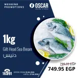 عروض أوسكار جراند ستورز من ٢٥ حتى ٢٧ يونيو ٢٠٢٦ عروض نهاية الإسبوع - أوسكار جراند ستورز - مصر - 25 يونيو 2026 – 27 يونيو 2026 - صفحة 3