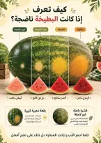 Offres Mahmoud Elfar de 25 juin à 10 juillet 2026 Festival des légumes et des fruits - Mahmoud Elfar - Egypte - 25 juin 2026 – 10 juillet 2026 - Page 5