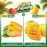 عروض جرين ترى مصر من ٢٥ حتى ٢٨ يونيو ٢٠٢٦ عروض نهاية الأسبوع - جرين ترى - مصر - 25 يونيو 2026 – 28 يونيو 2026 - صفحة 4