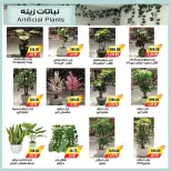 عروض ايه ماركت مصر من ٢٦ يونيو حتى ٣ يوليو ٢٠٢٦ عروض الصيف - ايه ماركت - مصر - 26 يونيو 2026 – 3 يوليو 2026 - صفحة 8