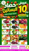 عروض حصاد البساتين السعودية من ١٣ حتى ١٤ محرم ١٤٤٨ هـ (٢٩ إلى ٣٠ يونيو ٢٠٢٦) عروض 10 ريال - حصاد البساتين - السعودية - 29 يونيو 2026 – 30 يونيو 2026 - صفحة 3