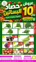 عروض حصاد البساتين السعودية من ١٣ حتى ١٤ محرم ١٤٤٨ هـ (٢٩ إلى ٣٠ يونيو ٢٠٢٦) عروض 10 ريال - حصاد البساتين - السعودية - 29 يونيو 2026 – 30 يونيو 2026 - صفحة 2