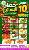 عروض حصاد البساتين السعودية من ١٣ حتى ١٤ محرم ١٤٤٨ هـ (٢٩ إلى ٣٠ يونيو ٢٠٢٦) عروض 10 ريال - حصاد البساتين - السعودية - 29 يونيو 2026 – 30 يونيو 2026 - صفحة 1