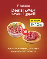 عروض تعاونية الإمارات الإمارات من ٣٠ يونيو حتى ٢ يوليو ٢٠٢٦ عروض الأسبوع - تعاونية الإمارات - الإمارات - 30 يونيو 2026 – 2 يوليو 2026 - صفحة 5