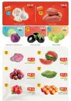 Panda Egypt offers from 1 to 14 July 2026 Festival of July Discounts - Panda - Egypt - 1 July 2026 – 14 July 2026 - Page 29