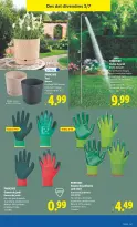 Lidl Spain offers from 29 June to 5 July 2026 Bazaar Deals - Lidl - Spain - 29 June 2026 – 5 July 2026 - Page 25