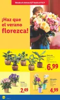 Lidl Spain offers from 6 to 12 July 2026 Weekly offers - Lidl - Spain - 6 July 2026 – 12 July 2026 - Page 58