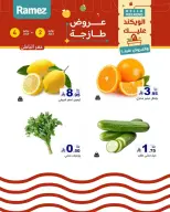 عروض أسواق رامز بفرع المنطقة الشرقية من ١٦ حتى ١٨ محرم ١٤٤٨ هـ (٢ إلى ٤ يوليو ٢٠٢٦) عروض طازجة - أسواق رامز - السعودية - 2 يوليو 2026 – 4 يوليو 2026 - صفحة 13