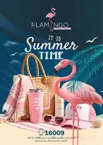 Flamingo Hypermarket Egypt offers from 29 June to 11 July 2026 Summer time Deals - Flamingo Hypermarket - Egypt - 29 June 2026 – 11 July 2026 - Page 1