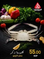Offres Marché El Mahlawy de 2 à 3 juillet 2026 Fête du Poisson - Marché El Mahlawy - Egypte - 2 juillet 2026 – 3 juillet 2026 - Page 4